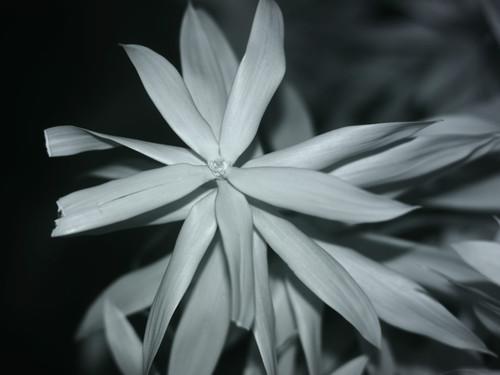 专业级单反 佳能400d改造红外相机拆解_cctv.c