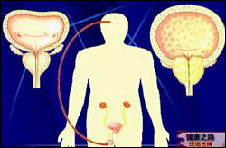 http:\/\/www.cntv.cn\/lm\/560\/31\/71263.html