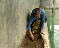 http:\/\/www.cntv.cn\/lm\/644\/14\/41290.html