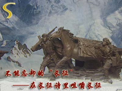 103536_1.jpg