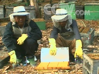 1998年经济半小时_经济半小时