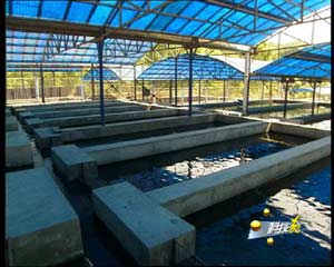 CCTV.com-农业频道-科技苑