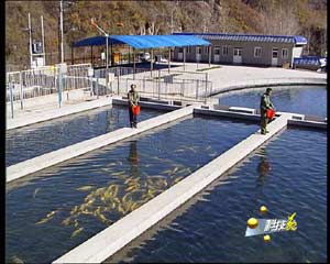 CCTV.com-农业频道-科技苑