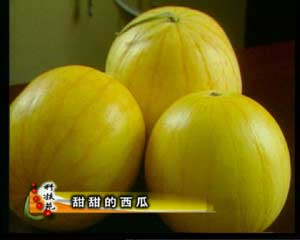 CCTV-农业频道-科技苑