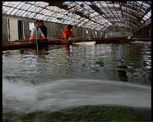 CCTV-农业频道-科技苑