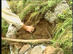 CCTV.com-农业频道-科技苑