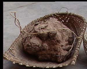 CCTV.com-农业频道-科技苑