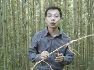 CCTV-农业频道-科技苑