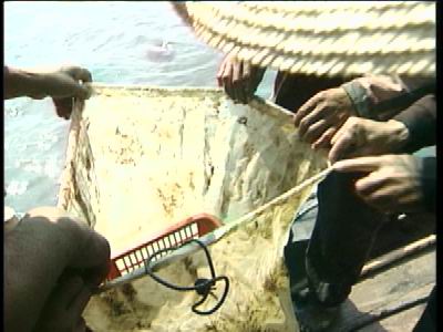 动着自己的触手