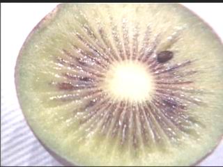 CCTV-农业频道-每日农经