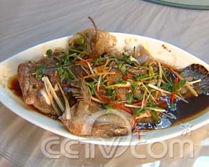 换个地方养的虎斑鱼 (2008.02.20)(组图)