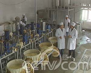 前系列节目:特色一村一品(4)解密许昌豆腐村