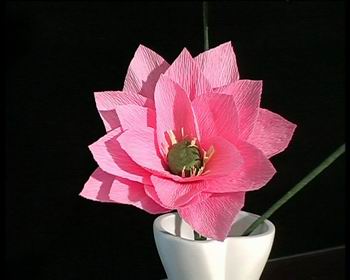 简单纸花折法图解; 皱纹纸花的折法图解; · 纸花的制作_图解大全 近年来,纸花的出现在一定程度上满足了一些爱花人士的需求,人们可以把自己喜欢的花摆放在家中,既不用忙于浇水施肥,也不用担心花朵凋谢,这未尝不是一种新的爱花、赏花的方式。从事纸花制作,投资小,回报快,材料方便购买,而且制作工艺简单易学,工作起来既陶冶性情,又可以有不错的经济收入。如果您富有丰富的想像力和创造力,从事纸花的制作,会让您的生活更加多姿多彩。 责编:肖阔