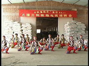 牛场招聘_【山西诚信奶牛场面向全国各地出售高产奶牛肉牛小牛犊】-黄页88网(5)