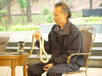 陈远辉:与蛇共舞