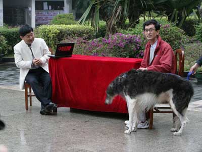 一个人的动物世界_CCTV.com_中国中央电视台