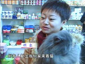 人要是买猫要折耳猫我有