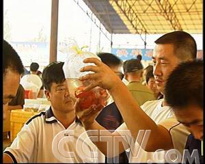农业致富频道节目表_农业频道致富经_致富频道农业频道直播