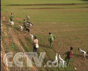 没有了猎枪,樊喜峰一到节假日就闲得没事干