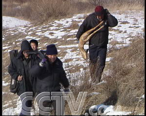 CCTV.com-狍子养殖合中有分(2007.2.8)