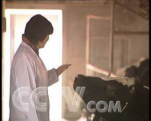 CCTV.com-一个离婚女人的致富传奇(2007.3.9