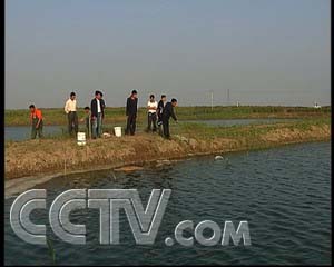 CCTV.com-射阳蟹苗两条腿跑(2007.6.14)