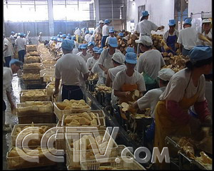 CCTV.com-无奈选择竟成赚钱门路(2007.9.6)