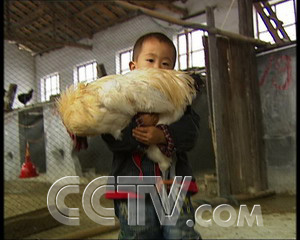 农业频道致富经_cctv7农业节目致富经_农业频道致富
