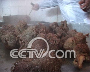 cctv7农业节目致富经_农业频道致富经_农业致富频道节目表