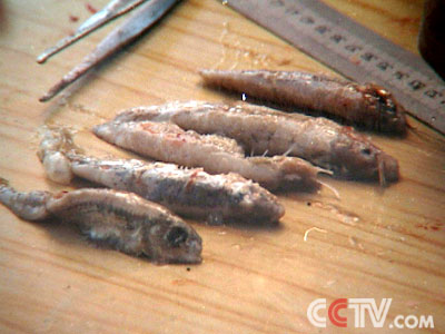 从哲罗鲑肚子里解剖出来的小鱼