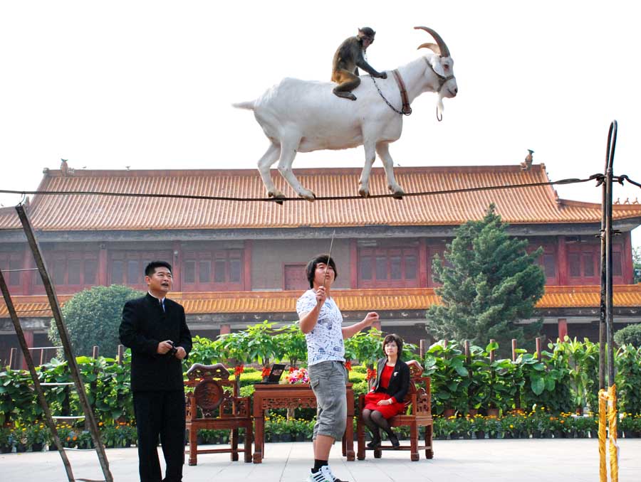 2011年11月3日《灵山秀水数临桂》猴子骑山羊