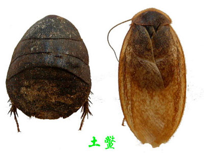 cctv-科技频道-智慧创造财富